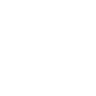 Logo Website